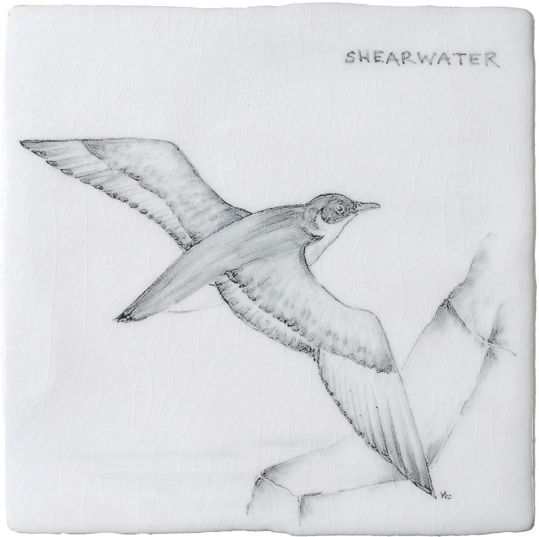 Shearwater 7 Square, product variant image
