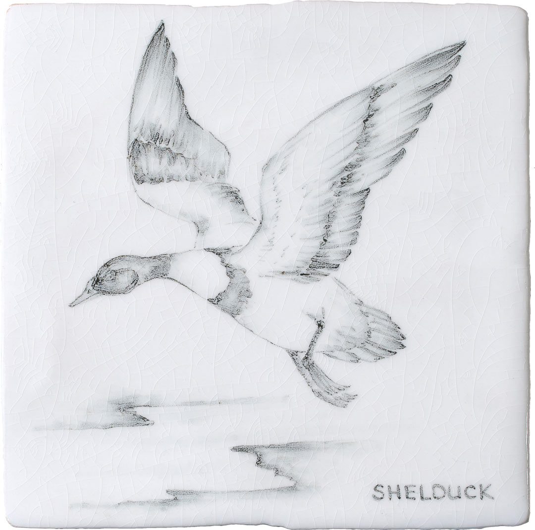 Shelduck 9 Square, product variant image
