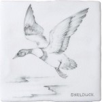 Cut out of a hand painted Shelduck bird square tile in a classic charcoal style