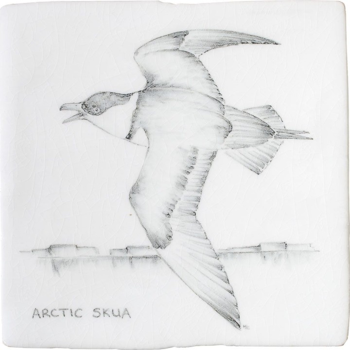 Cut out of a hand painted Arctic Skua bird square tile in a classic charcoal style