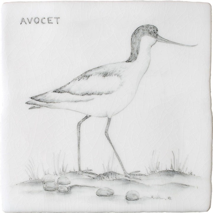 Avocet Square