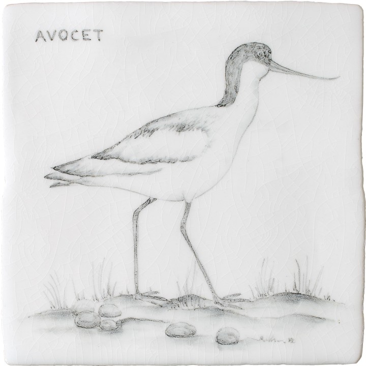 Coastal And Moorland Birds Avocet 5