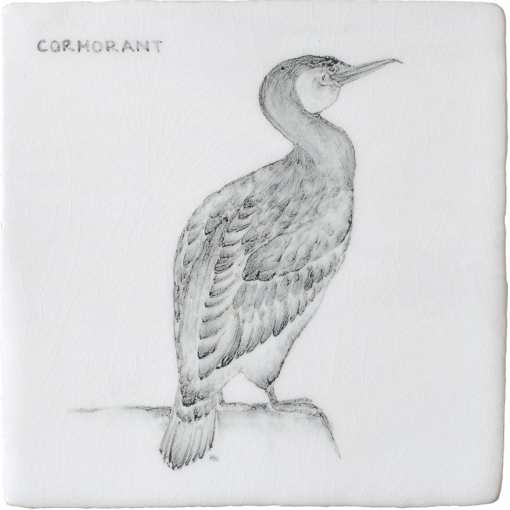 Coastal And Moorland Birds Cormorant 1