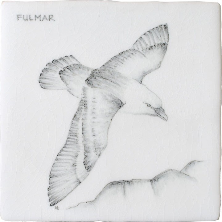 Fulmar Square