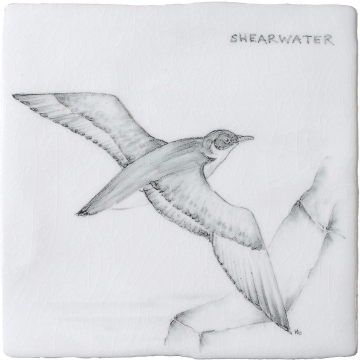 Cut out of a hand painted Shearwater bird square tile in a classic charcoal style