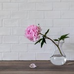 Contemporary Classic Chalk White small brick wall tiles with white grout