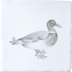 Farmland Birds 2 on Chalk White