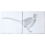 Farmland Birds Pheasant A Panel on Chalk White
