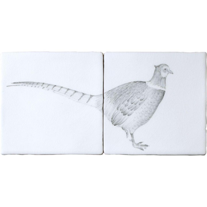 Farmland Birds Pheasant A Panel on Chalk White