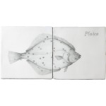 Fish 2 Panel Plaice web