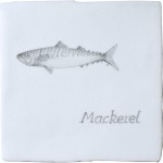 Fish Mackerel on Chalk White