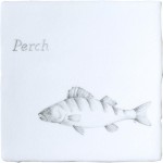 Fish Perch on Chalk White
