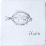 Fish Plaice on Chalk White