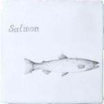 Fish Salmon on Chalk White