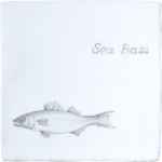 Fish Sea Bass on Chalk White