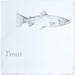 Fish Trout on Chalk White