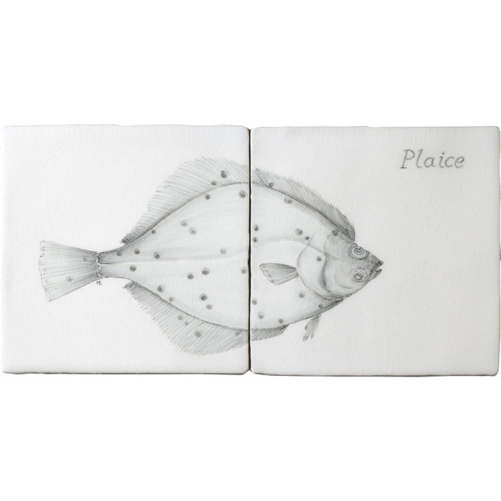 Fish 2 Panel Plaice web