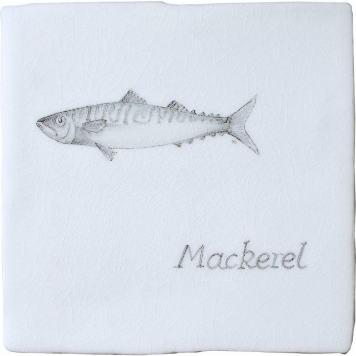Fish Mackerel on Chalk White