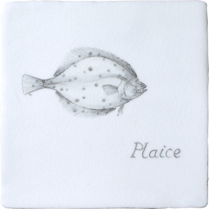 Fish Plaice on Chalk White