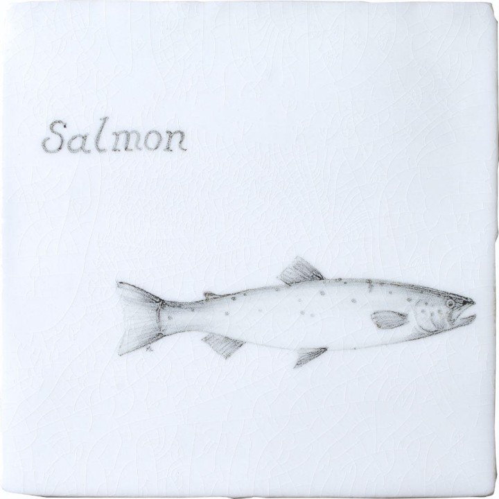 Fish Salmon on Chalk White