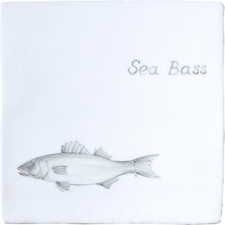 Fish Sea Bass on Chalk White
