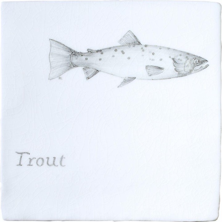Fish Trout on Chalk White