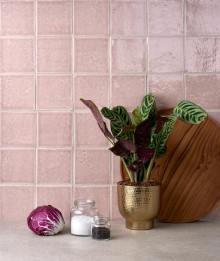 HAL COR WILDROSE LIFESTYLE WEB