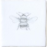 Bumblebee Insect Taco on Chalk White