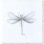 Damselfly Insect Taco on Chalk White