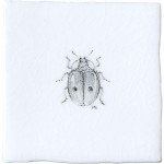 Ladybird Insect Taco on Chalk White