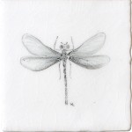 Cut out of a hand painted Dragonfly taco square tile in a charcoal etching style