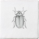 Cut out of a hand painted beetle taco square tile in a charcoal etching style