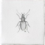 Cut out of a hand painted beetle taco square tile in a charcoal etching style