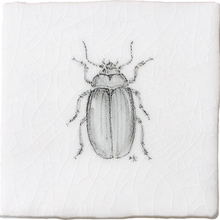 Cut out of a hand painted beetle taco square tile in a charcoal etching style