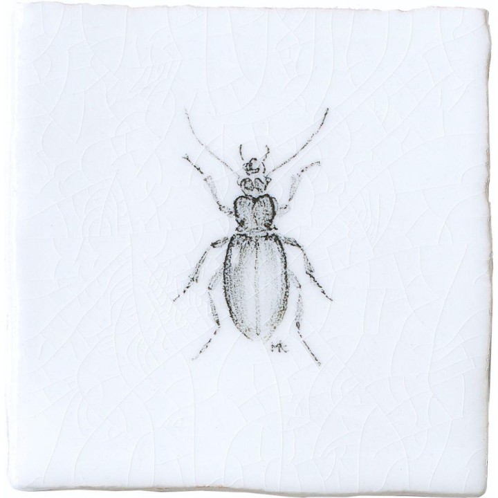 Bombardier Beetle Insect Taco on Chalk White
