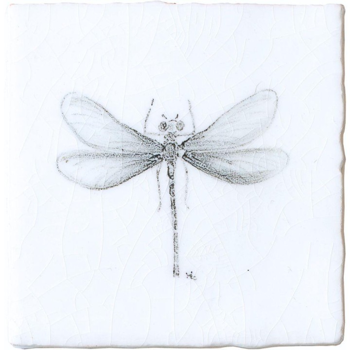 Damselfly Insect Taco on Chalk White