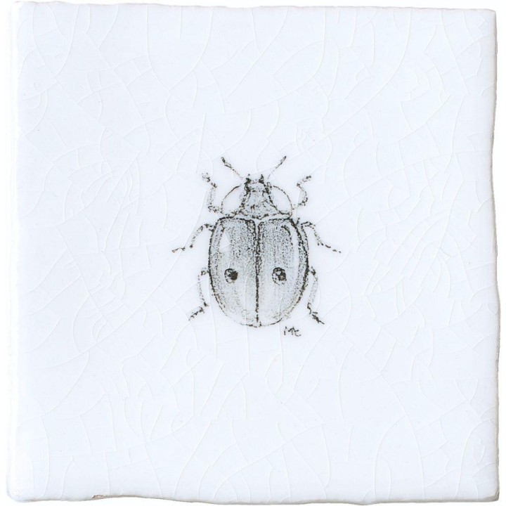 Ladybird Insect Taco on Chalk White
