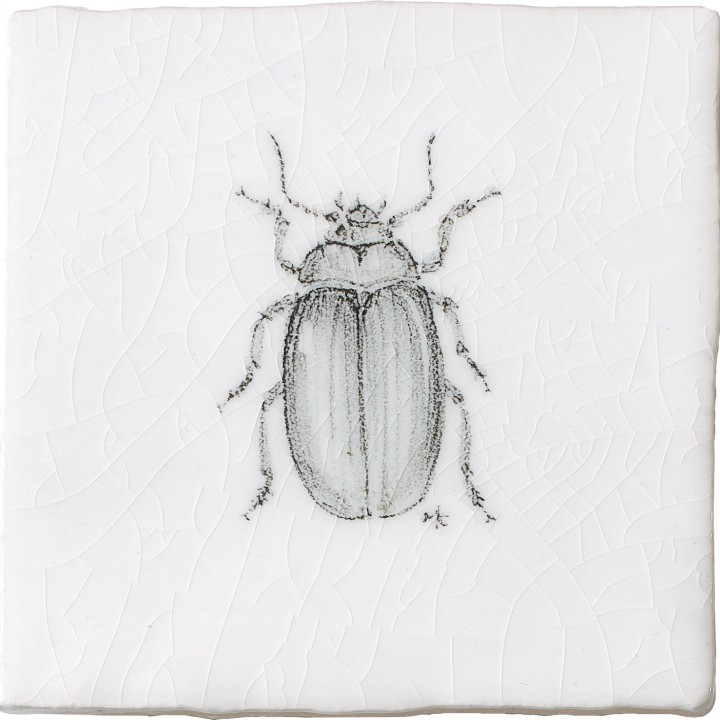 Cut out of a hand painted beetle taco square tile in a charcoal etching style