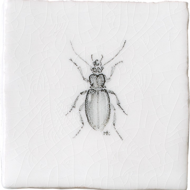 Cut out of a hand painted beetle taco square tile in a charcoal etching style