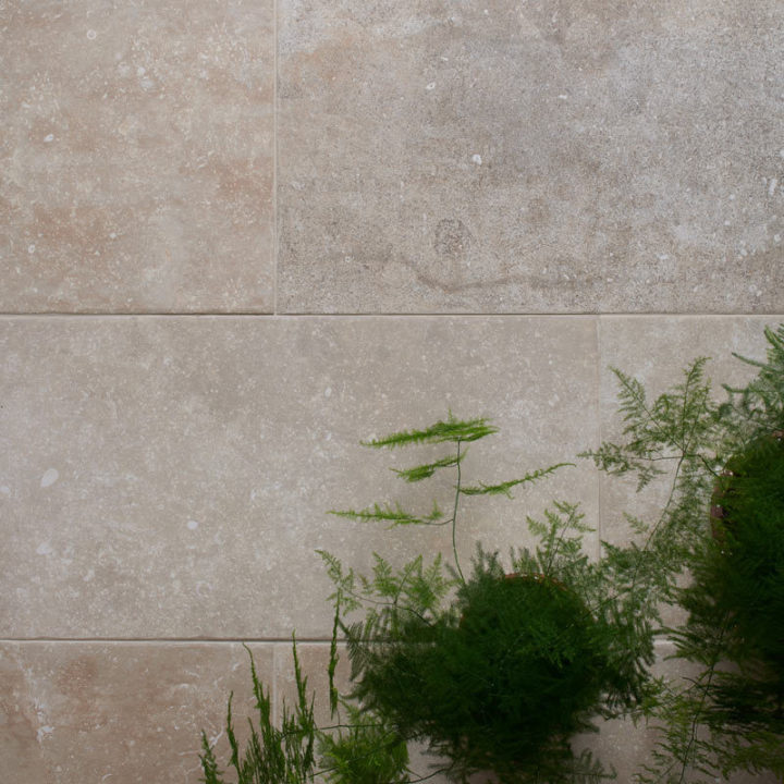 Floor of warm stone effect porcelain floor tile with Beige grout with foliage in front.