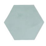 Cut out of a pale green gloss hexagon tile