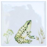 Meadow Frog 1 on white