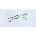 Meadow Frog 3 Panel on white