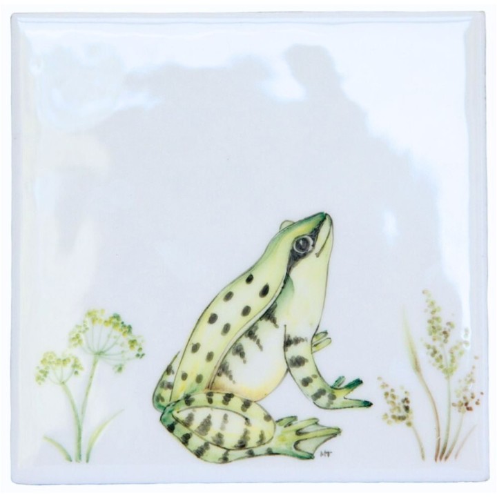 Meadow Frog 1 on white