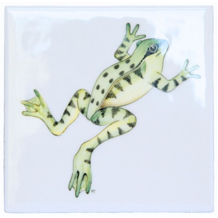 Meadow Frog 2 on white