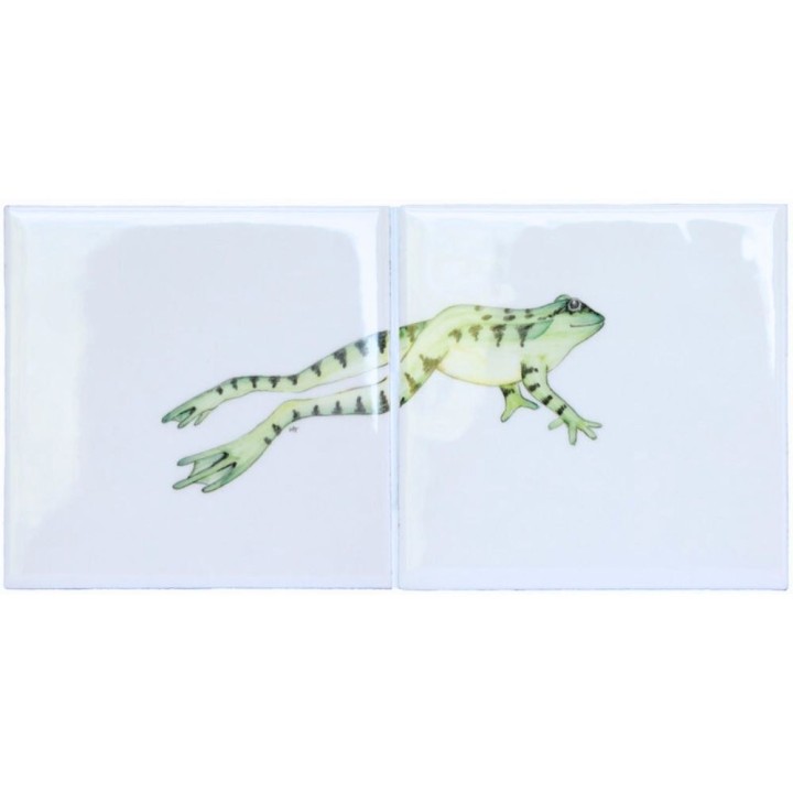 Meadow Frog 3 Panel on white