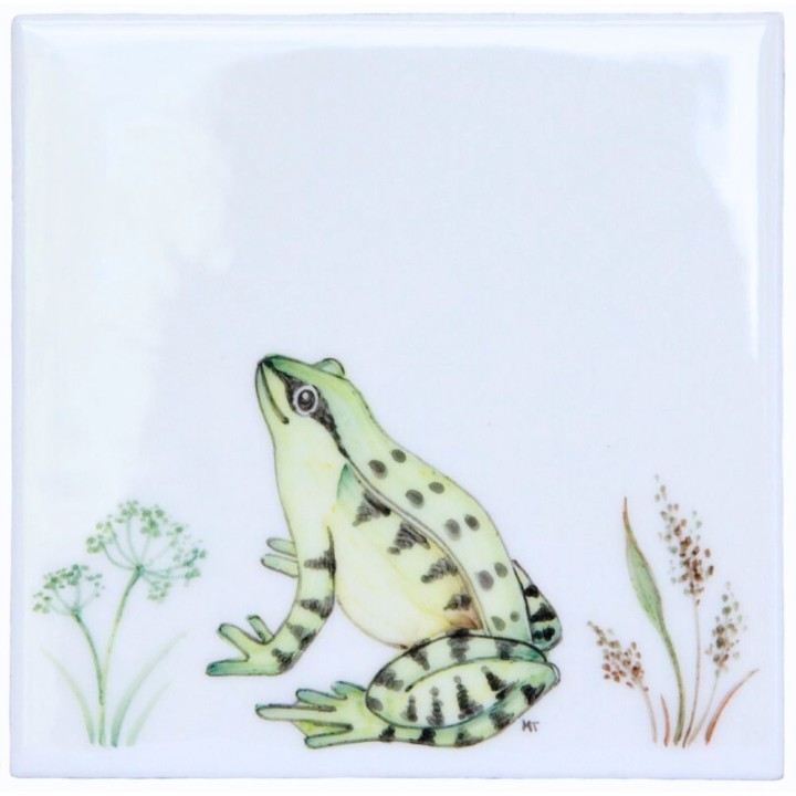 Meadow Frog 4 on white