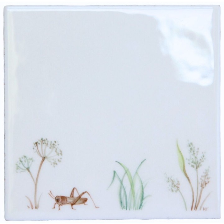 Meadow Grasses 1 on white