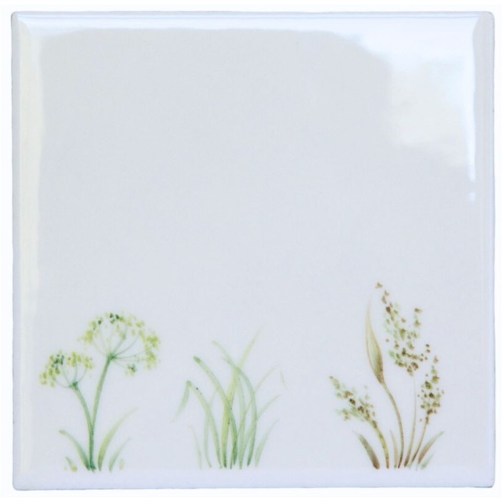 Meadow Grasses 3 on white