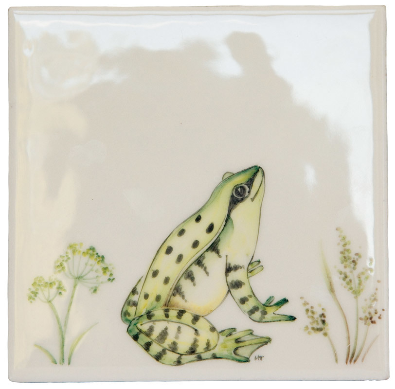 Frog 1 Square, product variant image